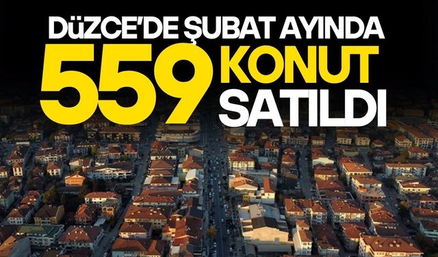 KONUT SATIŞ RAKAMLARI AÇIKLANDI