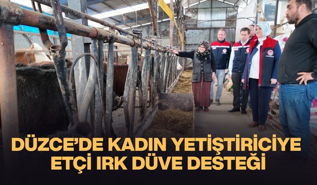 KIRSALDA BEREKET, HAYVANCILIĞA DESTEK