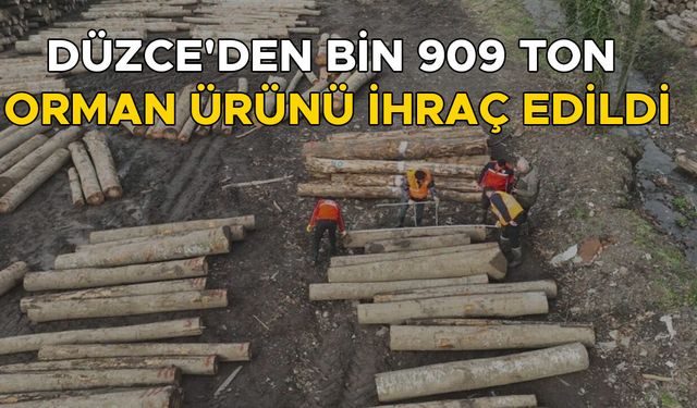 ORMAN ÜRÜNÜ İHRACATI BİR ÖNCEKİ YILI GEÇTİ