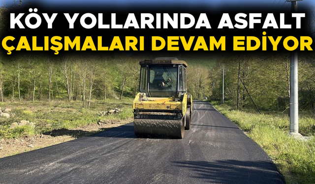 GÖLYAKA İLÇESİ’NDE GRUP YOLU ASFALTLANDI