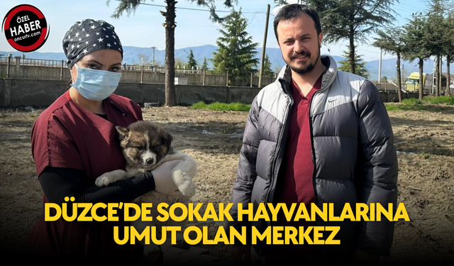 TEDAVİDEN SAHİPLENDİRMEYE TÜM SÜREÇLER TİTİZLİKLE YÜRÜTÜLÜYOR