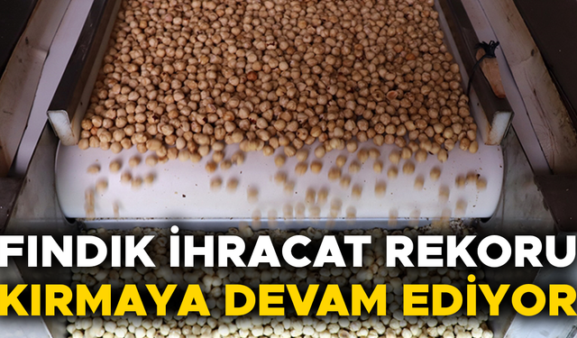 YÜZ BİNLERCE TON FINDIK İHRAÇ EDİLDİ