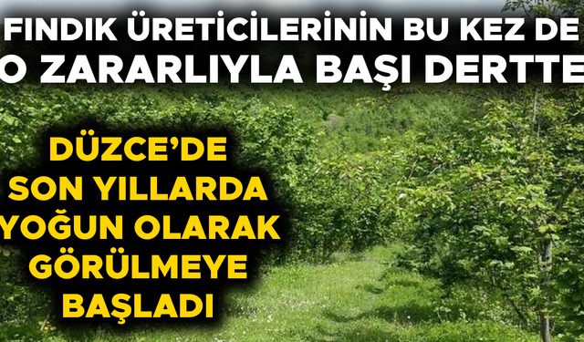 TARIM VE ORMAN İL MÜDÜRLÜĞÜ’NDEN ÜRETİCİLERE KRİTİK UYARI