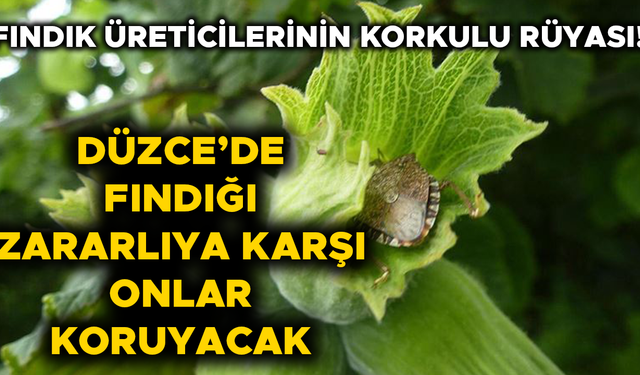 ÖNÜMÜZDEKİ GÜNLERDE BİNLERCESİ DOĞAYA SALINACAK