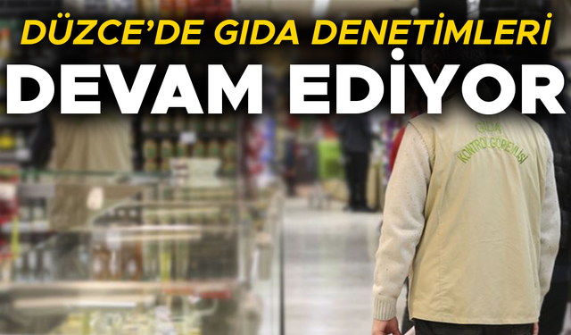 YÜZLERCE İŞYERİNDE DENETİM GERÇEKLEŞTİRİLDİ
