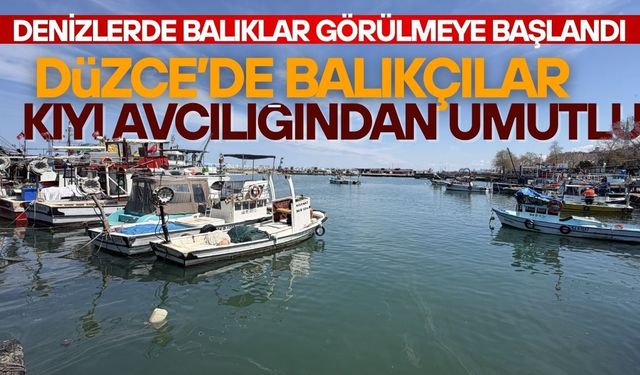 AVLANMA BU AY İÇERİSİNDE BAŞLAYACAK