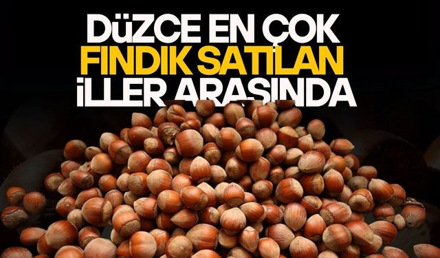 DÜZCE’DE 38 BİN TON FINDIK İŞLEM GÖRDÜ