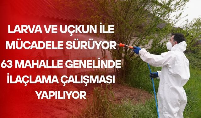 ASYA KAPLAN SİVRİSİNEĞİNE DİKKAT!