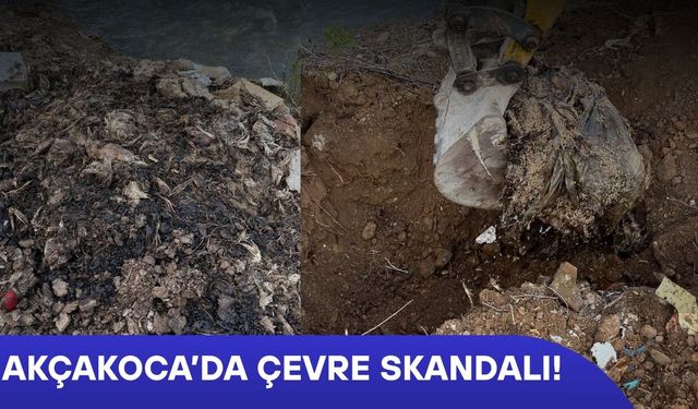 DERE KENARINA DÖKÜLEN TELEF OLMUŞ TAVUKLAR TEPKİLERİN ARDINDAN TOPRAĞA GÖMÜLDÜ