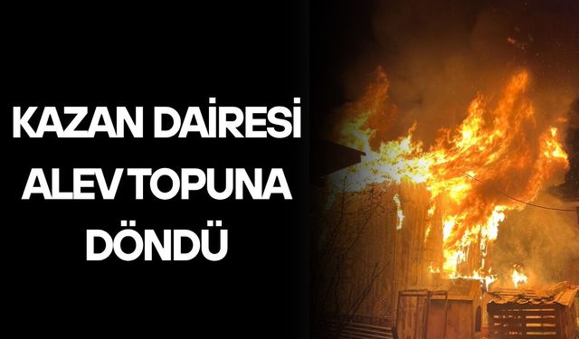 OTLUOĞLU MAHALLESİNDE KORKUTAN YANGIN
