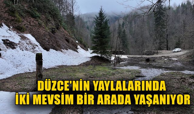 ÇİÇEKLER DOĞASEVERLERİ DAVET EDİYOR