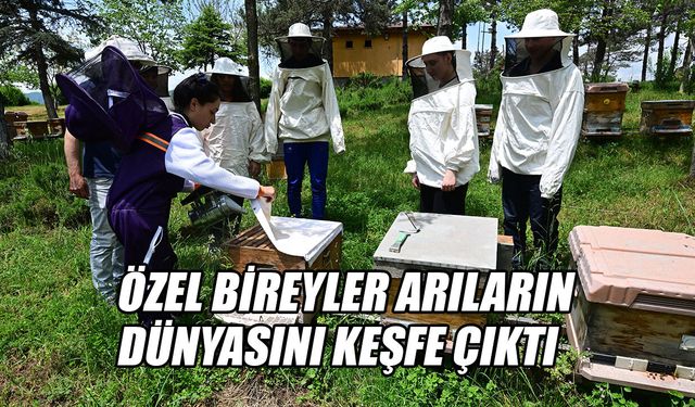 DÜNYA ARI GÜNÜ İÇİN FARKINDALIK ETKİNLİĞİ DÜZENLENDİ