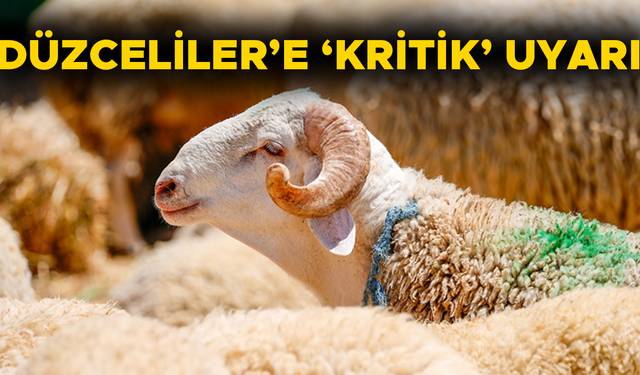 HAYVANLARDAN İNSANLARA BULAŞIYOR