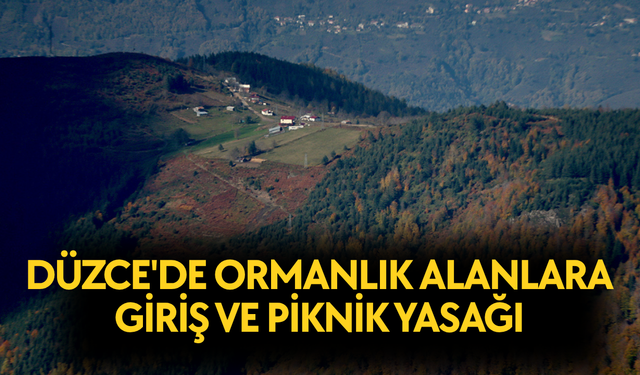 ANIZ VE BENZERİ BİTKİ ÖRTÜSÜ YAKMAK YASAKLANDI