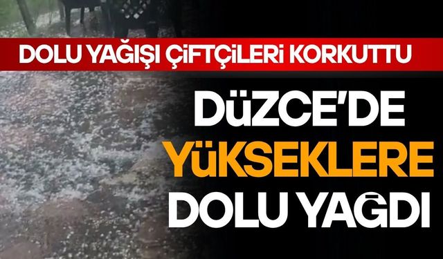 DÜZCE'DE YÜKSEKLERE DOLU YAĞDI