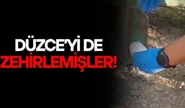 KONTEYNER ŞASESİNDEKİ AKIL ALMAZ UYUŞTURUCU DÜZENEĞİ DİKKAT ÇEKTİ