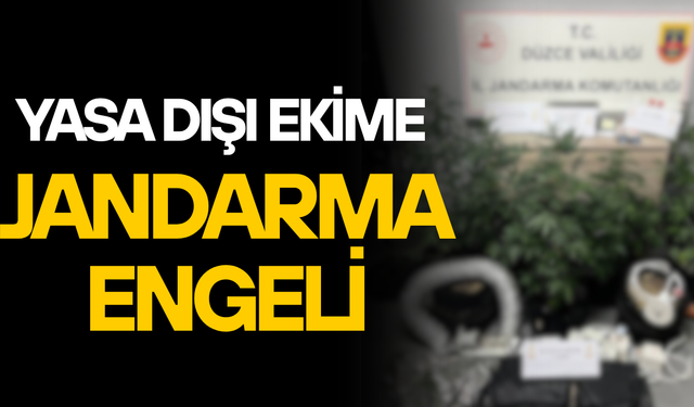 DÜZCE’DE UYUŞTURUCU OPERASYONU:1 ŞÜPHELİ GÖZALTINDA