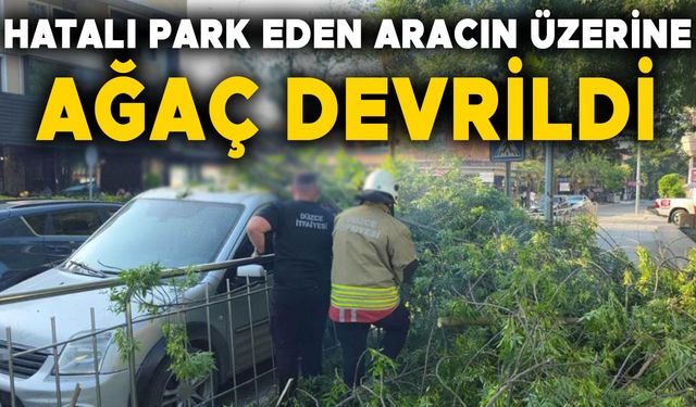 ARACI HEM HASAR ALDI HEM DE CEZAYI YEDİ…