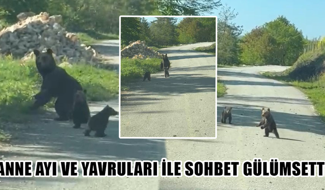 2 KARDEŞ AYILARA SESLENDİ