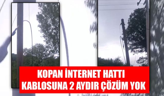 DEFALARCA BAŞVURU YAPTILAR AMA SONUÇ ALAMADILAR