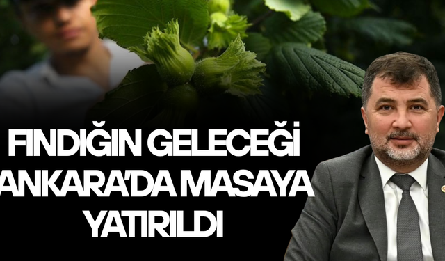 MİLLETVEKİLİ ÖZTÜRK: “ÜRETİCİMİZİN EMEĞİ, FINDIĞIMIZIN DEĞERİ İÇİN İSTİŞAREDEYİZ”