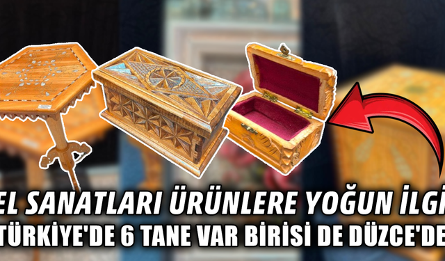 DÜZCE'Yİ EL EMEĞİ ÜRÜNLERLE ANKARA'DA TEMSİL ETTİLER