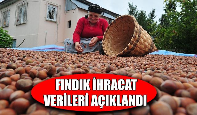 DÜZCE’DEN AB ÜLKELERİNE 5 BİN 291 TON FINDIK İHRAÇ EDİLDİ