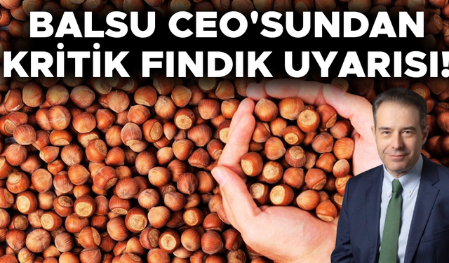"ŞİLİ VE ABD TÜRKİYE'NİN İHRACATINI ETKİLEYEBİLECEK DÜZEYDE FINDIK ÜRETİYOR"