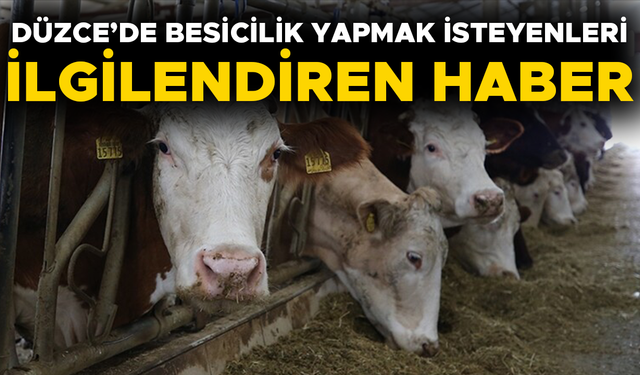 BAKAN YUMAKLI MÜJDELİ HABERİ VERDİ