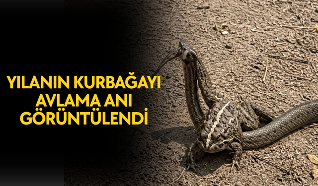 BELGESEL TADINDAKİ DOĞAL GÖRÜNTÜLER KAMERAYA YANSIDI