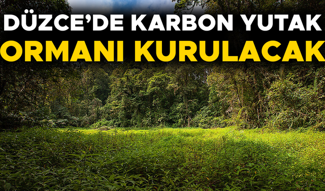 KARAR RESMİ GAZETE’DE YAYIMLANARAK YÜRÜRLÜĞE GİRDİ