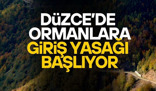 DÜZCE’DE PİKNİK YAPILMASINA İZİN VERİLEN BÖLGELER DUYURULDU