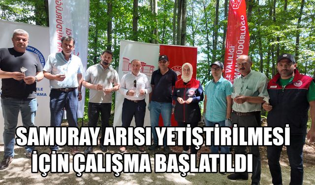 DÜZCE’DE ÇİFTÇİLERİN KABUSUNU SAMURAYLAR ÖNLEYECEK