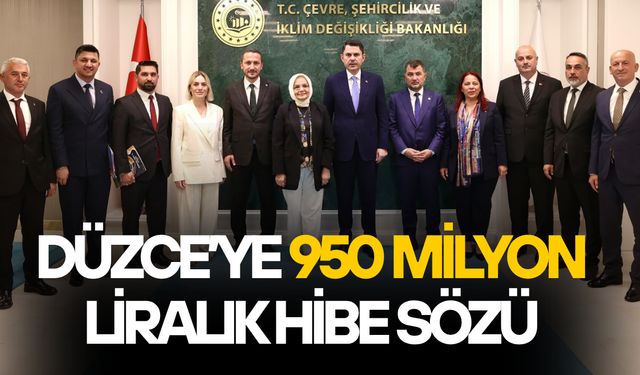 AK PARTİ HEYETİNDEN DÜZCE'YE 950 MİLYON LİRALIK DESTEK HAMLESİ