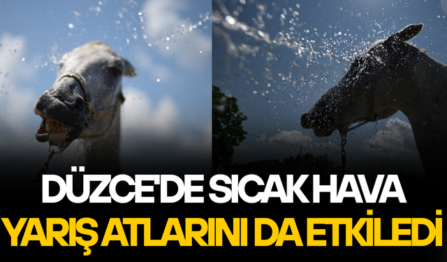 KAVURUCU SICAKTA YARIŞ ATLARI SOĞUK SUYLA SERİNLETİLİYOR