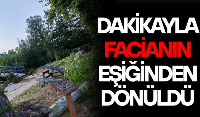 AKÇAKOCA’DA ASIRLIK ÇINARIN DALI PİKNİK MASASININ ÜZERİNE DÜŞTÜ