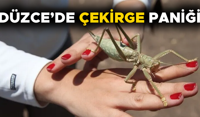 UZMANI AÇIKLAMA YAPTI…