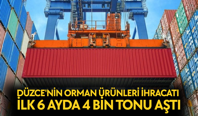 YILIN İLK YARISINDA İHRACAT SÜRERKEN, ORMAN ÜRÜNLERİNDE ARTIŞ HEDEFLENİYOR