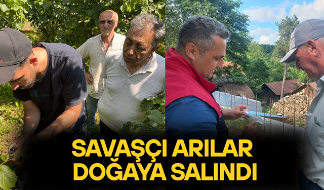 KOKARCA ZARARLISININ KONTROL ALTINA ALINMASI HEDEFLENİYOR