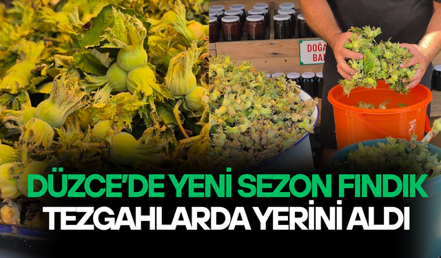 KİLOSU 200 LİRADAN ALICI BULUYOR