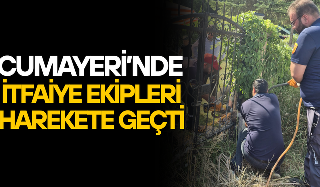 PARMAKLIKLARA SIKIŞAN KÖPEĞE KURTARMA OPERASYONU