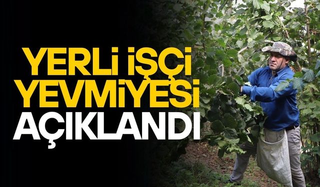 YERLİ FINDIK İŞÇİLERİNİN YEVMİYE FİYATI AÇIKLANDI