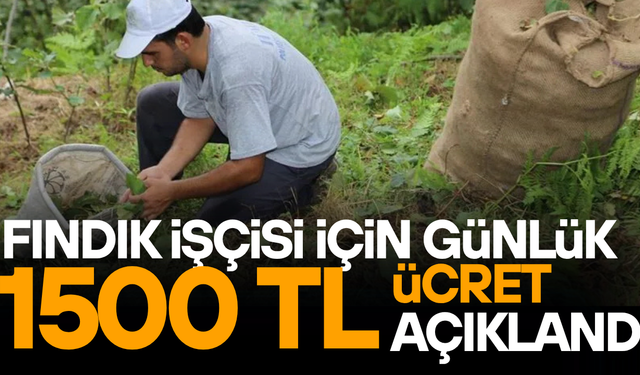 DÜZCE İL KORDİNASYON KURULU YEVMİYE FİYATLARINI BELİRLEDİ