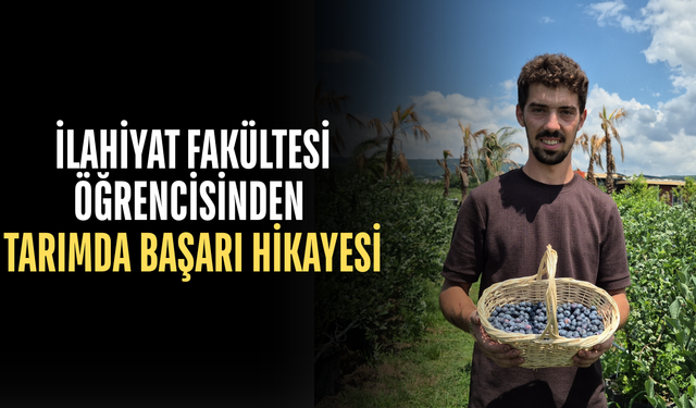 FINDIĞA ALTERNATİF ARARKEN ÜRETİMİ KATLADI