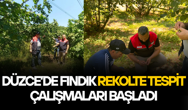 KAYNAŞLI İLÇESİNDE EKİPLER SAHAYA İNDİ