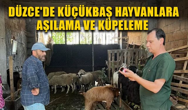 ÇALIŞMALARLA HAYVAN HASTALIKLARI ÖNLENİYOR