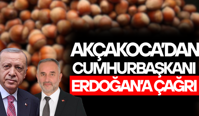 AFİKO BAŞKANI UZUN: FINDIK FİYATI 280 TL OLARAK REVİZE EDİLMELİ