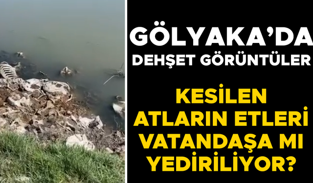 AT KEMİKLERİNİ DERE YATAĞINA BIRAKTILAR