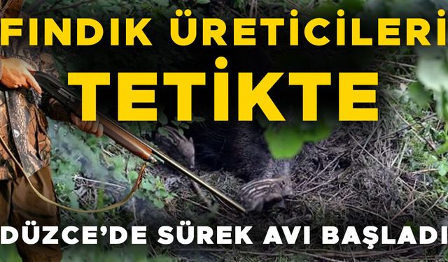 FINDIK BAHÇELERİNDE ZORLU NÖBET…