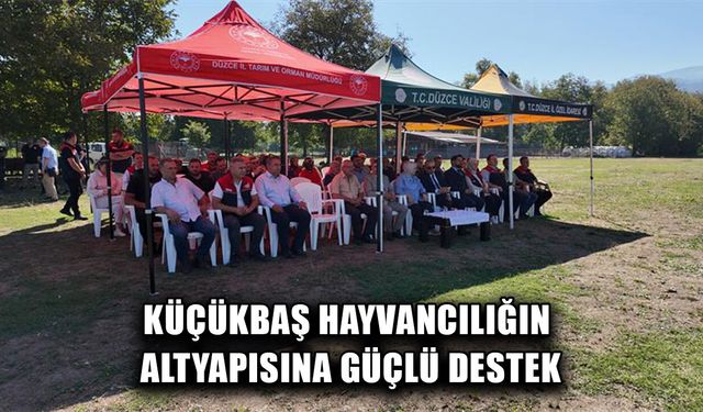 DÜZCE’DE YAKLAŞIK 20 BİN KÜÇÜKBAŞ HAYVAN BULUNUYOR